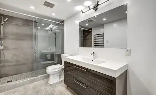 bathroom services Lake Tapps